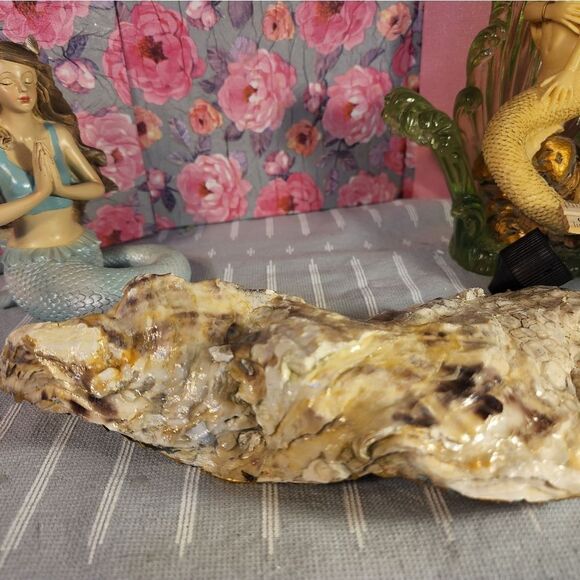 DECOUPAGE OYSTER SHELL DECOUPAGE OYSTER OCEAN SCENE TRINKET DISH - Picture 9 of 12